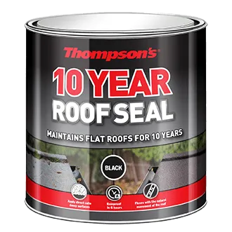 Thompson's  Roof Seal Black 2.5L