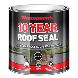 Thompson's  Roof Seal Black 2.5L